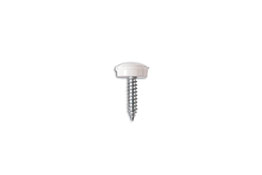 31538 Vehicle number plate fixing screws with white plastic cap.