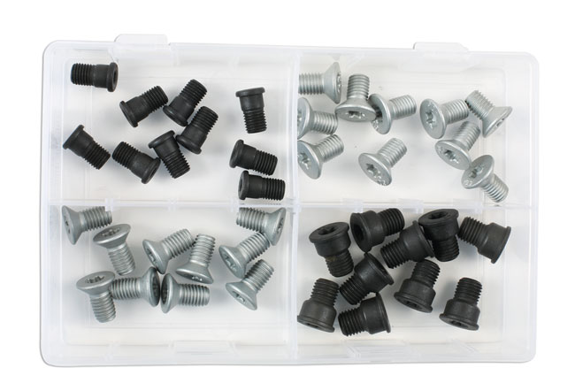 34159 - Assorted M10 and M12 brake disc retaining screws.