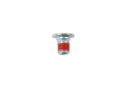 34131 - M8 brake disc mounting screws x10
