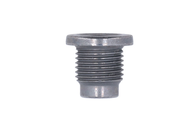 34256 Sump Plug – Renault 1pc