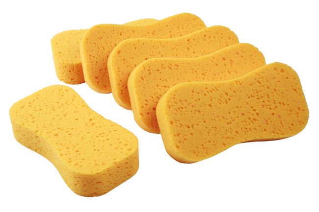 35359 Wash Sponges 6pc