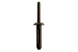 Trim Rivets